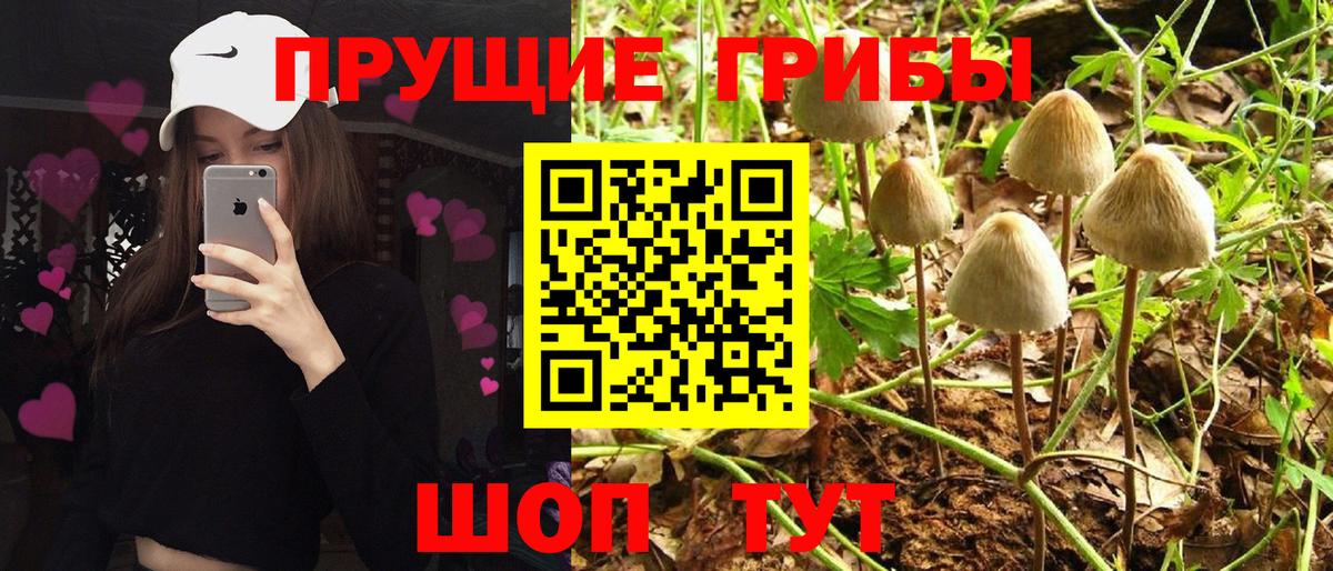 Cocaine  Ахтубинск  Мефедрон кристаллы  Альфа ПВП СК   MDMA  Конопля  Вход с VPN 