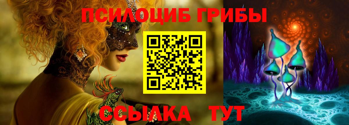 Псилоцибиновые грибы Psilocybe Ахтубинск
