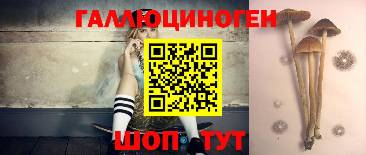 Галлюциногенные грибы мицелий  Вход с VPN  Ахтубинск 